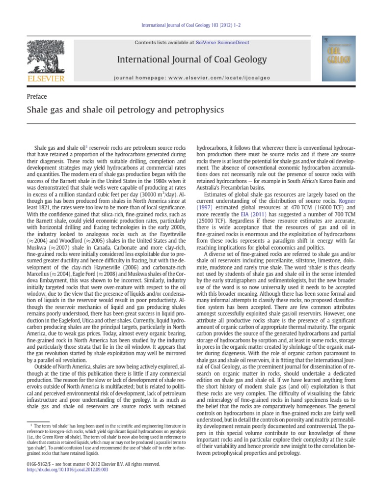 Shale Gas and Shale Oil Petrology and Petrophysics | PDF | Shale Gas ...