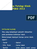 Review Pk Pskg 2013