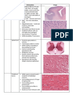 Histology Unkowns