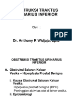 (GER) Obstruksi Tr Urinarius Inf