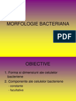 Curs 2 Morfologia Bacteriana