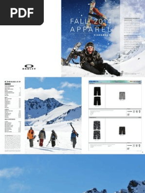 2013 q3 Afa Snow Fa14