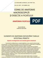 Anatomia Ficatului Suuper