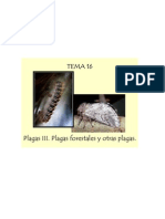 Tema 16. Plagas III. Plagas Forestales y Otras Plagas