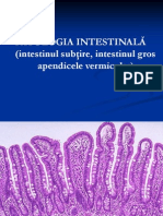 Patologia Intestinala