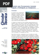 fertirrigação do tomateiro