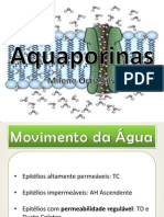 Aqua Porinas