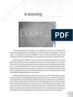 O conceito de downsizing e suas estratégias de implementação