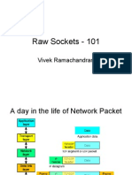 2530575 Raw Sockets