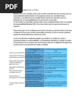 Diferencia Entre S.a. Y S.R.L.