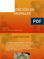 Mutación en Animales