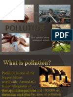 How Pollution Affects Endangered Animals