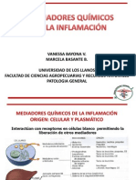 Exposicion de Patologia Mediadores Inflamacion
