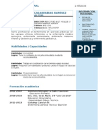 Curriculum Vitae Alex