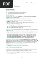 Bio Ch. 7 WB Answers0