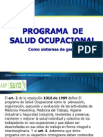 Programa de Salud Ocupacional2