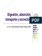 Digestión y absorción: 40 pasos clave