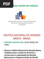 Estratégia Saúde da Família aula