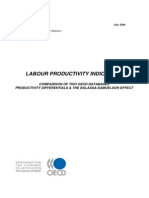 Labour Productivity Indicators