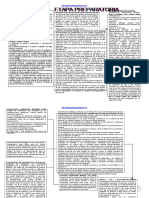52606999-esquema-del-proceso-penal-word.pdf