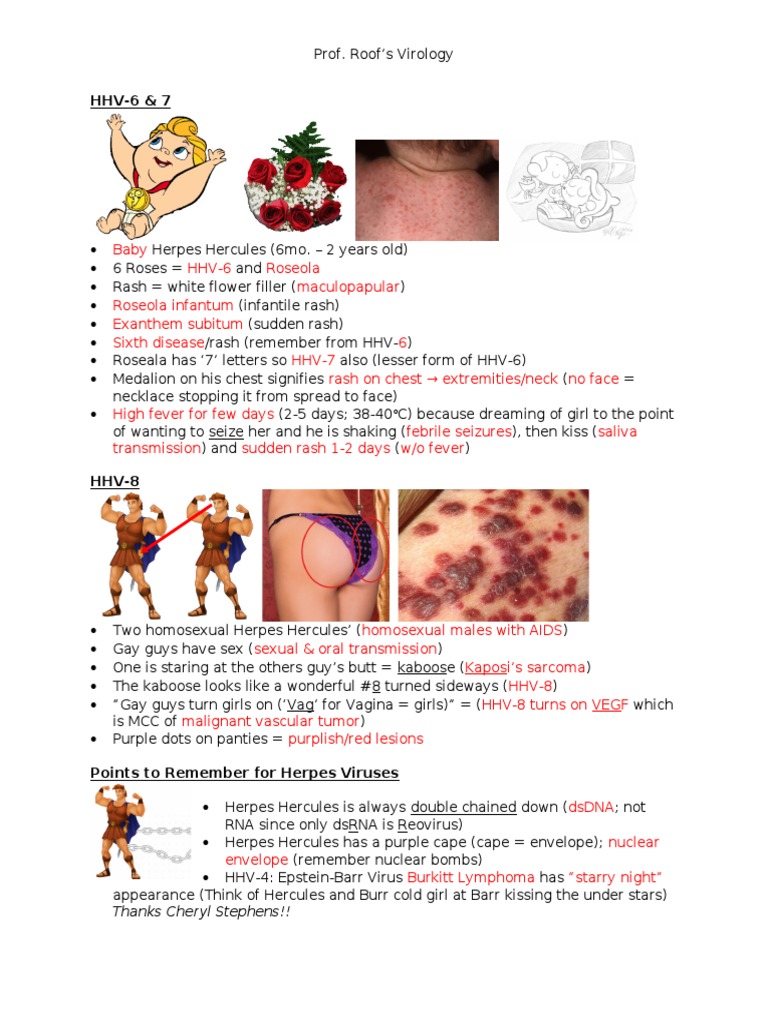 HHV-6, 7 & 8: Symptoms and Transmission | PDF | Language Arts & Discipline