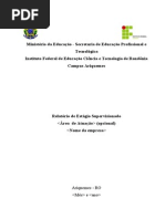 Modelo de Relatório de Estágio IFRO - Campus Ariquemes
