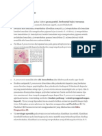 Streptococcus Pneumoniae