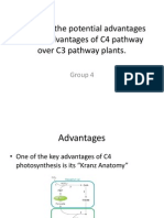 What Are The Potential Advantages and Disadvantages of C4 Pathway Over C3 Pathway Plants
