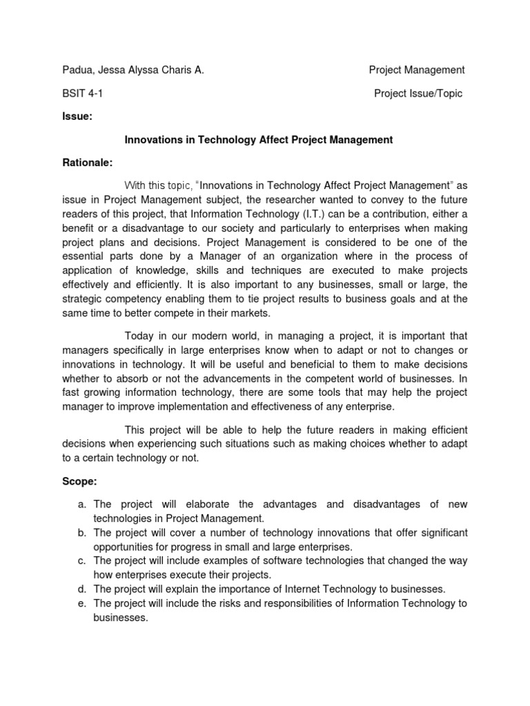 Project Management Issue | PDF