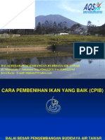 Materi Cpib (Adang.s)