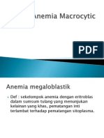 Anemia Macrocytic