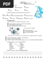 Craiasa Zapezii Proiect Didactic