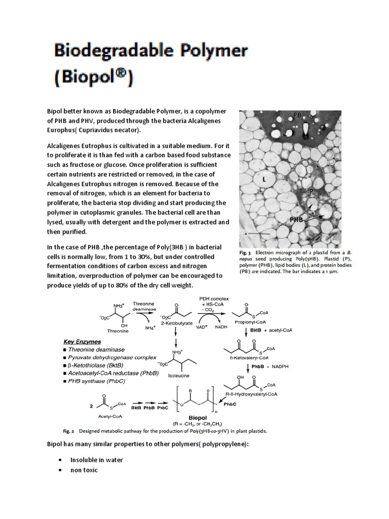 Bipol: A Biodegradable Copolymer Overview | PDF | Biodegradation | Bacteria