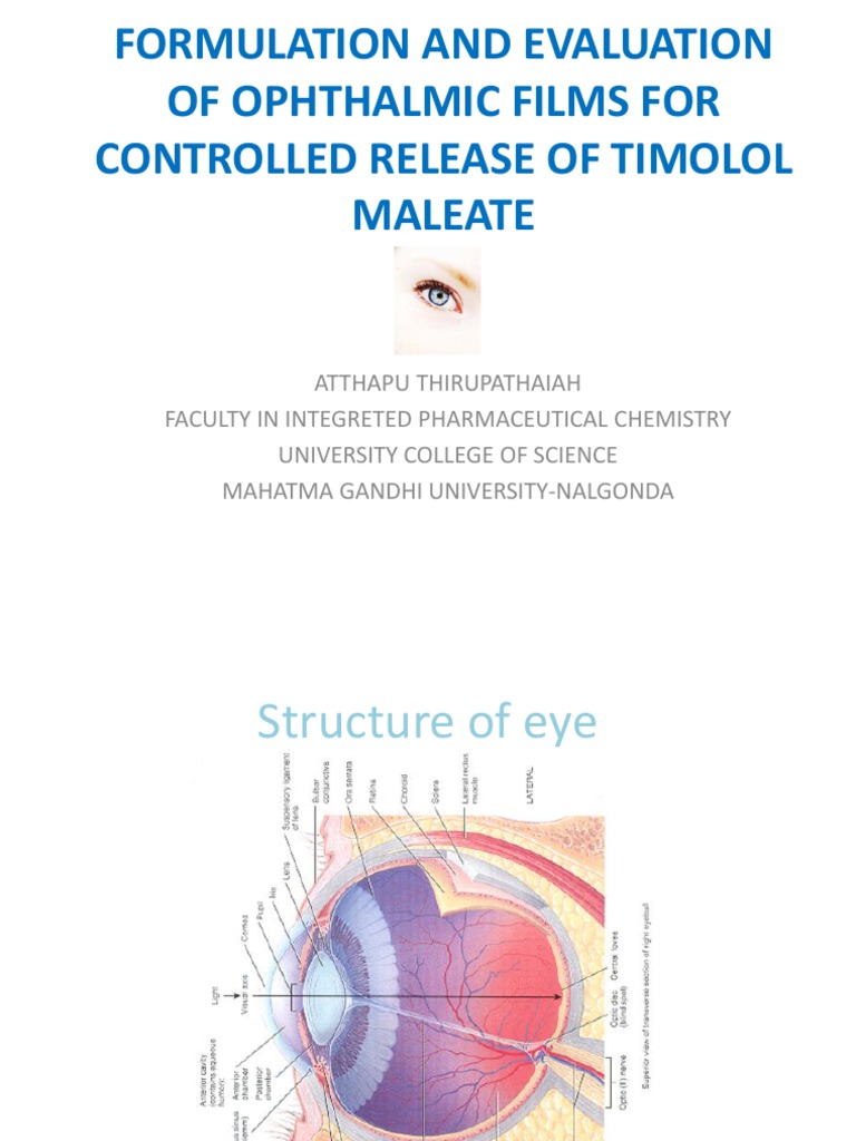 TIMOLOL2 Human Eye