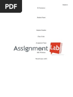 B2C Websites/ Essay / Paper by AssignmentLab.com