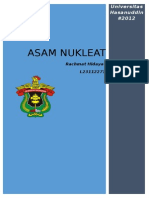 Asam Nukleat