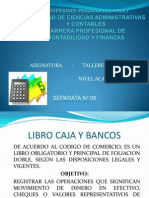 Teoria Libro Caja