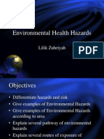 Environmental Health Hazards: Lilik Zuhriyah