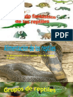 el mundo fantstico de los reptiles