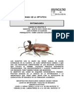 4 Entomologia 019