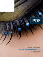 41926660 Os 10 Fundamontos Do Photoshop