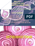 Extraction of DNA-Slides