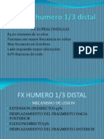 FX de Humero 1