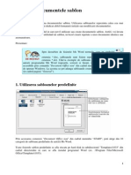 Microsoft Word XP (RO) - Modul Avansati