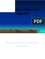 Anatomia Sistemului Digestiv