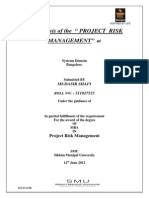 Project Risk Management Printout