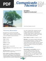 Aspectos Gerais de Cerejeira Do Mato