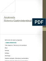 Anato Fisiologia Gastrico 1