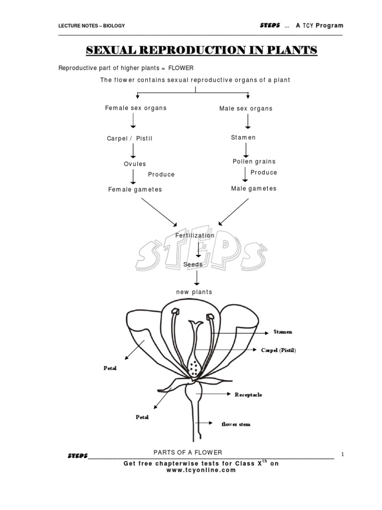 Sexual Reproduction in Plants Fertilisation Pollination