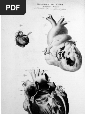 El Rapto De Higea Ciencia Michel Foucault - 